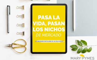 ¿Es importante encontrar un nicho de mercado?